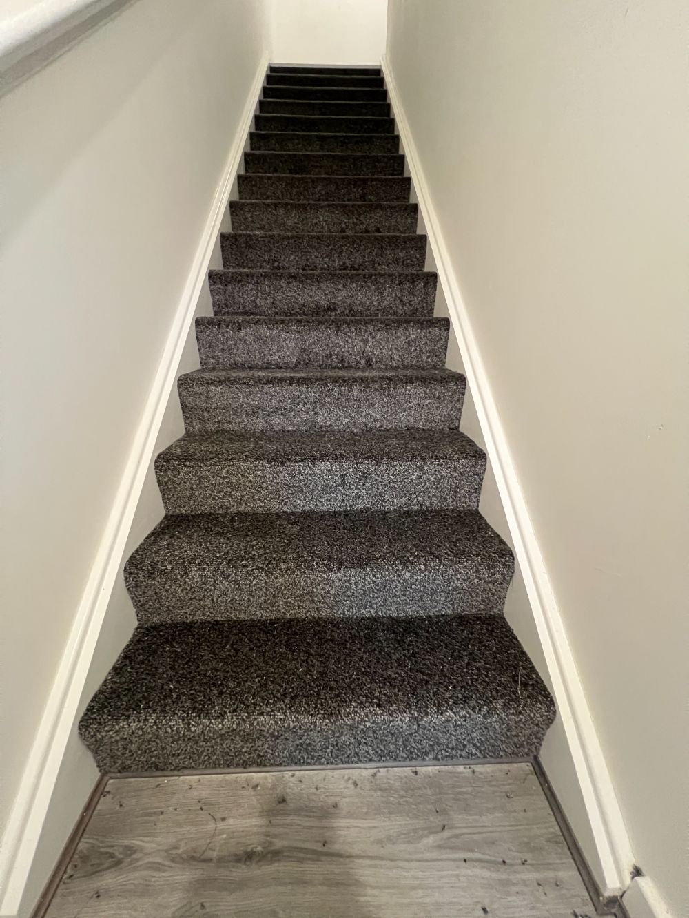 Gallery Image 45