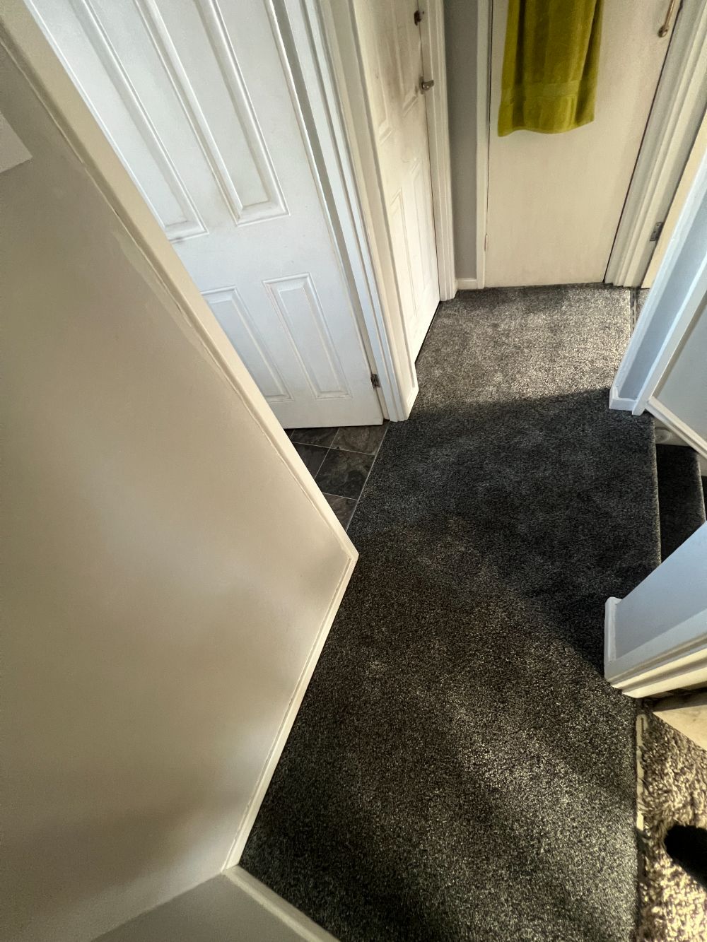 Gallery Image 57